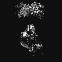 Brucellosis - Piscis piscis es vivus et mortuus