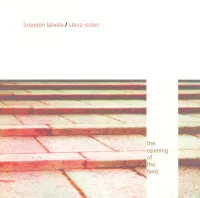 Steve Roden / Brandon LaBelle - The Opening of the Field