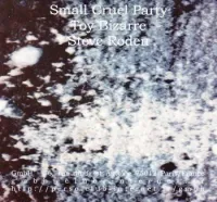 Small Cruel Party / Toy Bizarre / Steve Roden - Small Cruel Party / Toy Bizarre / Steve Roden