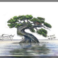 Syncatto - A Place to Hide