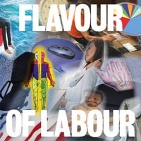 Public Body - Flavour of Labour