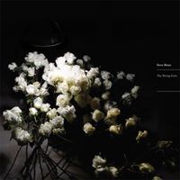 Steve Bates - The Wrong Echo