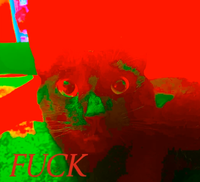 Lil Soz - Fuck Zanpook