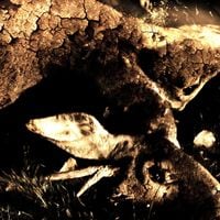 Vein.fm - Wavery