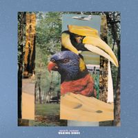 Mujo & Hakone - Waking Birds