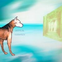Harto Fali&oacute;n - Stray Mutt