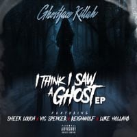 Ghostface Killah - I Think I Saw a Ghost