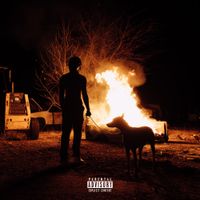 Mike Dimes - Home