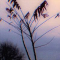 Glacier's Rise - Glacier's Rise