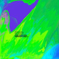 Axel Karakasis - Disparate Lines