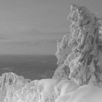 Vintlechkeit - Vokser opp i isen&hellip;