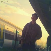 Dutch Criminal Record - Stuck Between