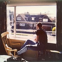 Dutch Criminal Record - Room with a View