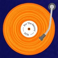 Dutch Criminal Record - For the Record