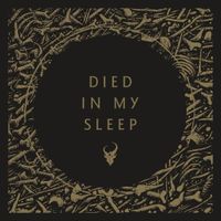 Demon Hunter - Died In My Sleep
