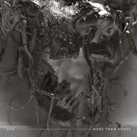 Demon Hunter - More Than Bones