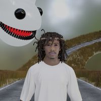 Zelly Ocho - Road to Insanity
