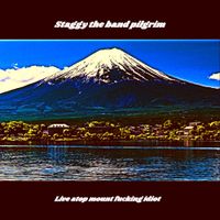 Staggy The Band Pilgrim - Live atop mount fucking idiot