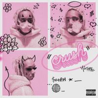 Sotam - CRUSH