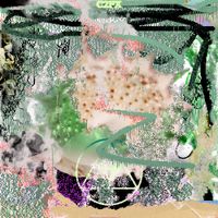 Locked Groove - C2FX
