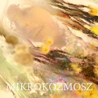 高木正勝 [Masakatsu Takagi] - mikrokozmosz