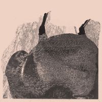 Svarte Greiner - Knive