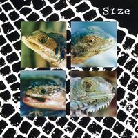 Size - Nadie Puede Vivir Con Un Monstruo