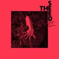 Lucrecia Dalt - The Seed