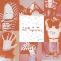 GAYLE - a study of the human experience volume one
