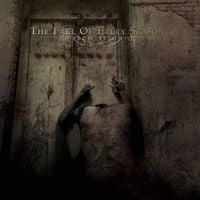 The Fall Of Every Season - From Below
