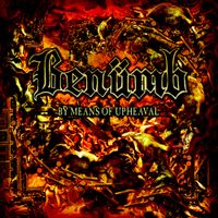 Ben&uuml;mb - By Means of Upheaval