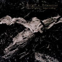 David Sylvian & Holger Czukay - Plight & Premonition