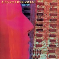 A Flock of Seagulls - Listen