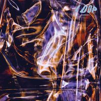 Loop - Fermion