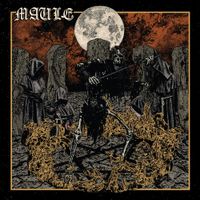 MAULE - MAULE