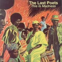 The Last Poets - This Is Madness