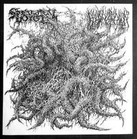 Spectral Voice / Blood Incantation - Spectral Voice / Blood Incantation