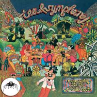 Tea And Symphony - An Asylum for the Musically Insane