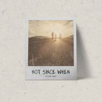 Crystal Skies - Not Since When