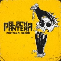 Black Pantera - Cap&iacute;tulo Negro