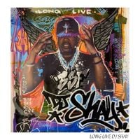 Black Soprano Family - Long Live DJ Shay