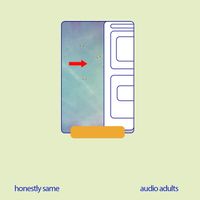 Honestly Same - Audio Adults