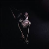 TOOL - Opiate&sup2;