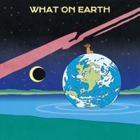 Moon Panda - What On Earth
