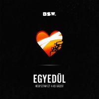 BSW - Egyed&uuml;l (Megb*sztam ezt a kis g&aacute;dzsit)