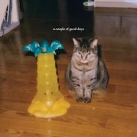 Fennec - a couple of good days