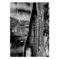 Knifedoutofexistence - Disappointment In Realisation
