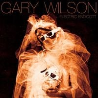 Gary Wilson - Electric Endicott