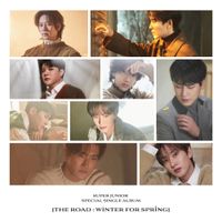 SUPER JUNIOR - The Road: Winter for Spring