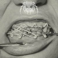 Membrana Molare - Interioral Tires